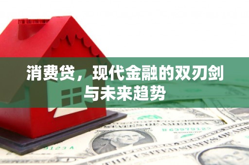 镇原消费贷，现代金融的双刃剑与未来趋势