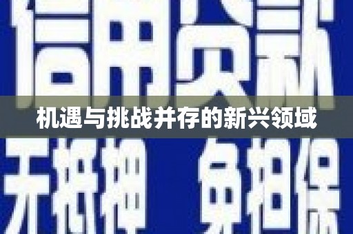 华容机遇与挑战并存的新兴领域