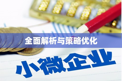 雷州全面解析与策略优化