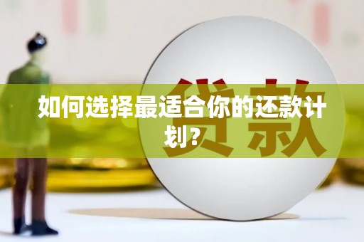 疏附如何选择最适合你的还款计划？