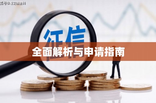 卑南全面解析与申请指南