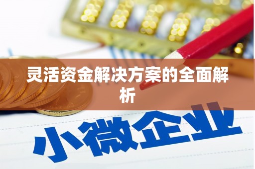 汉源灵活资金解决方案的全面解析