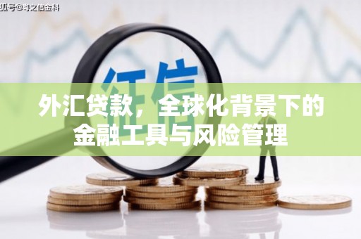 武乡外汇贷款，全球化背景下的金融工具与风险管理