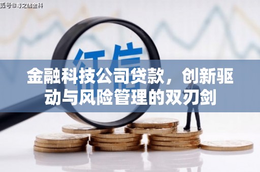 沈河金融科技公司贷款，创新驱动与风险管理的双刃剑